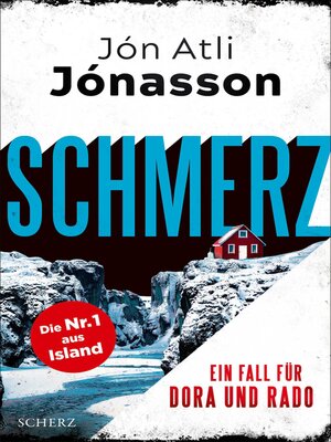 cover image of Schmerz